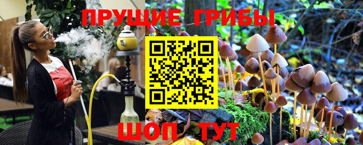 Азов  Галлюциногенные грибы Cubensis  Вход с VPN 
