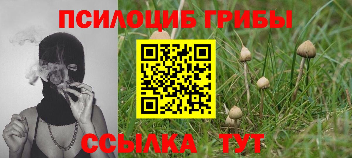 Галлюциногенные грибы GOLDEN TEACHER Азов